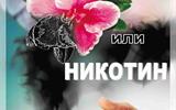 курение или никотин